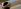Zoom-Bild eines Kreuzschraubenziehers